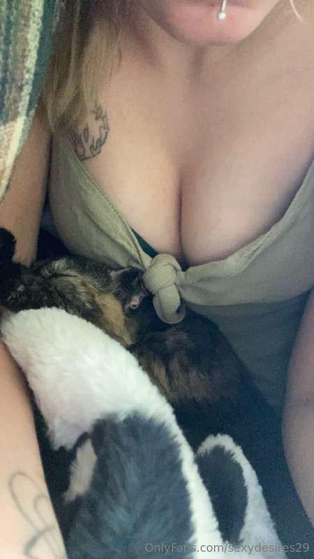 Kitty and titties