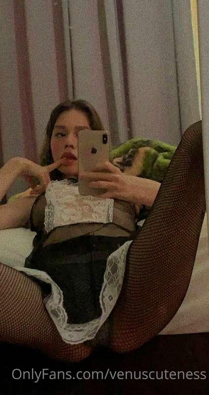 venuscuteness image #0