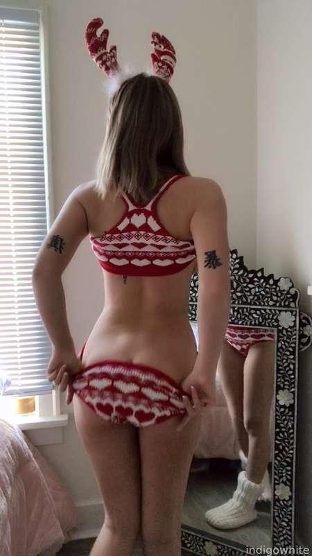 indigowhite image #232