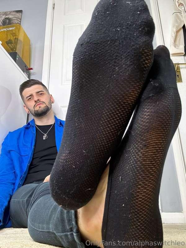 alphaswitchleo image #0