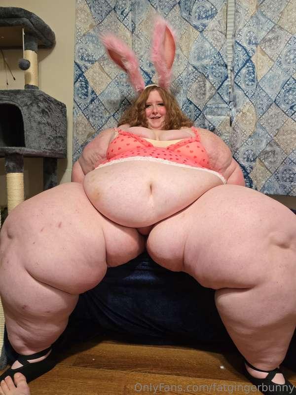 fatgingerbunny image #7