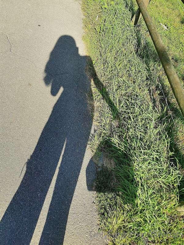 Hello 🙋‍♀️
