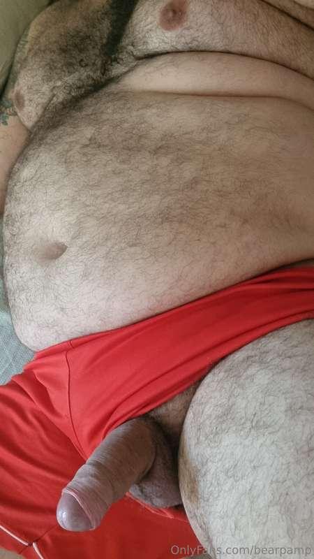 bearpamp image #0