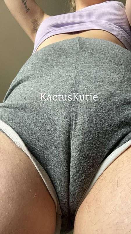 kactuskutie image #1