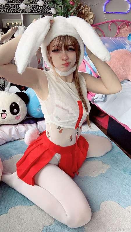 indigowhite image #116