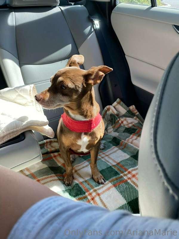 Rudy wants to know if you have any fur babies!!! Comment bel..