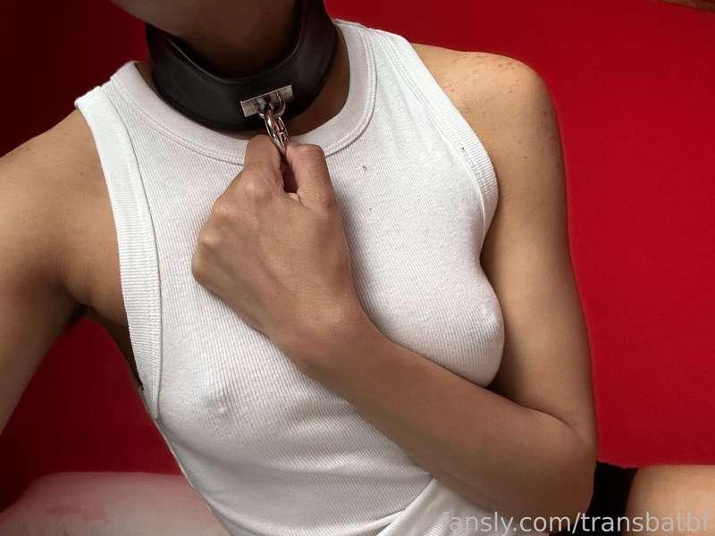 transbatbf image #26