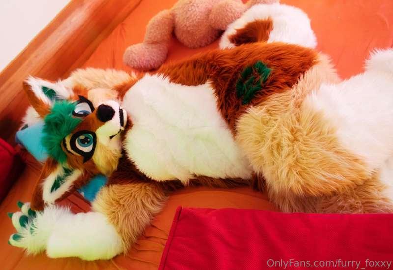 💕Let me be your Cuddle Bug! 💕Everybody needs some time to re..
