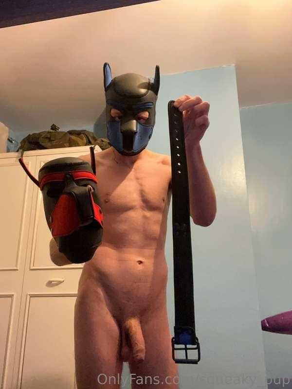 Only good pups gets a collar and hood UwU