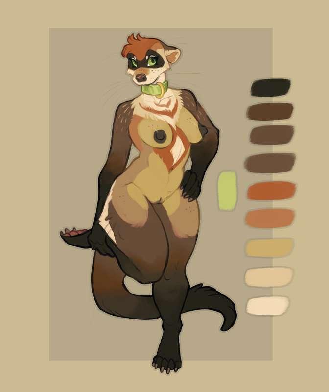 fall ferret adopt