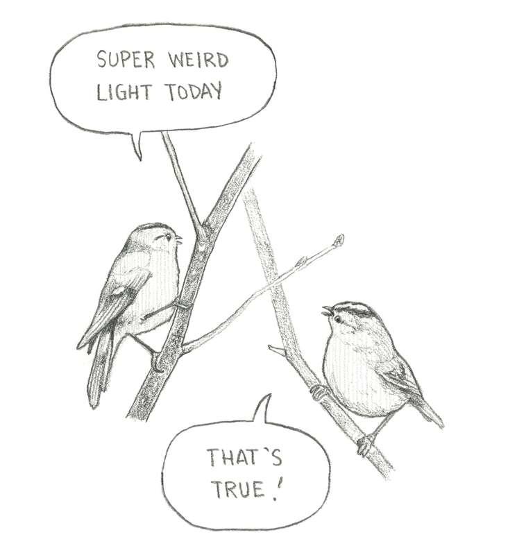 Weird light