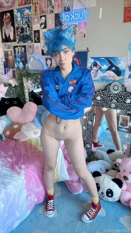 indigowhite image #196