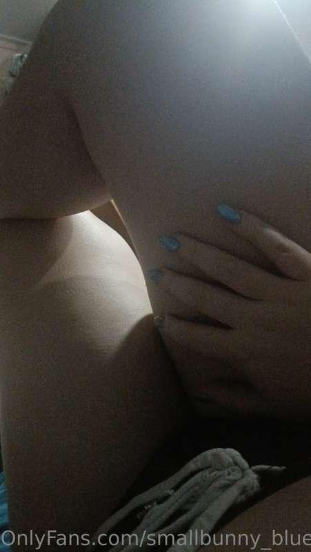 smallbunny_blue image #0