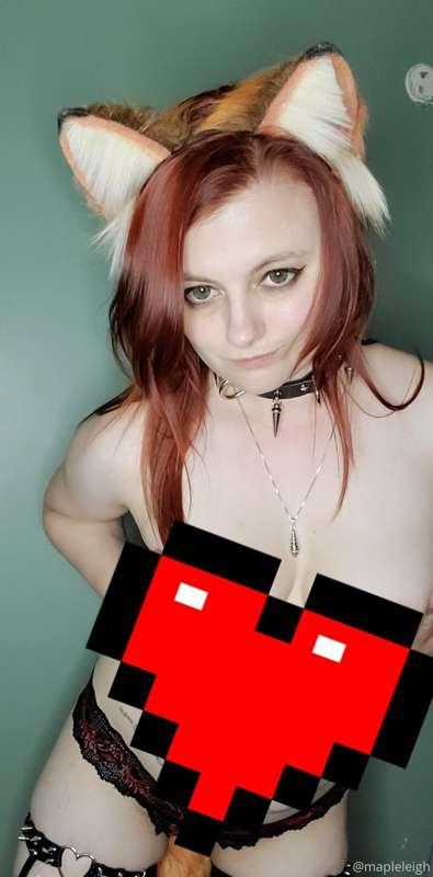 Happy Foxy Friday!!! 🦊❤
Let's start the weekend with a littl..