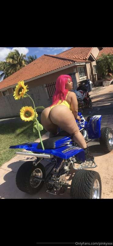 Let me drive you crazy 🤪