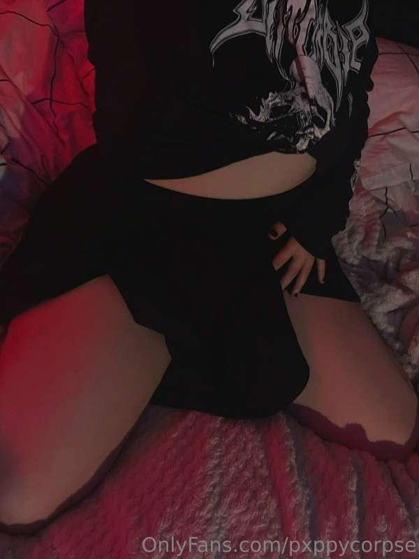 pxppycorpse image #3