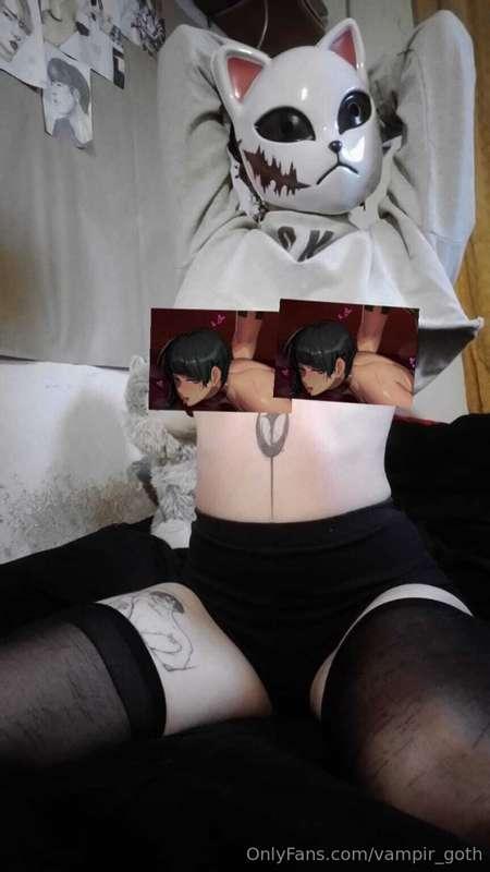 Do you want a kitten? (Pls read the tags)