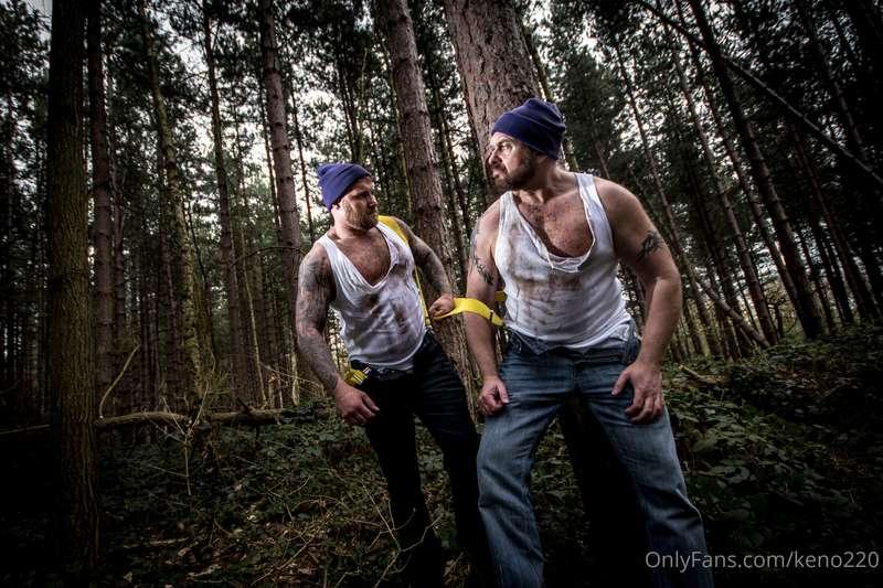 "Lumberjack Bears" set 3 of images from 2017