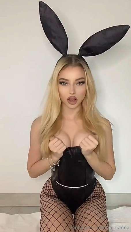 Happy Halloween 🐰