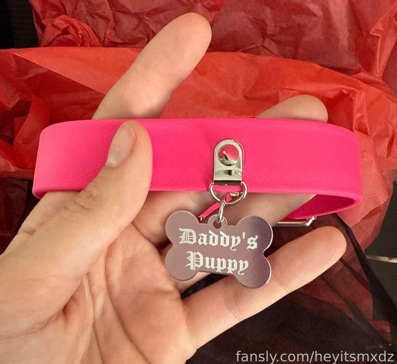 i got a new puppy collar in the mail today, that means it’s time to make more puppy girl content😆🐾
#puppy #puppygirl #petplay #collar #leash #daddyspuppy
