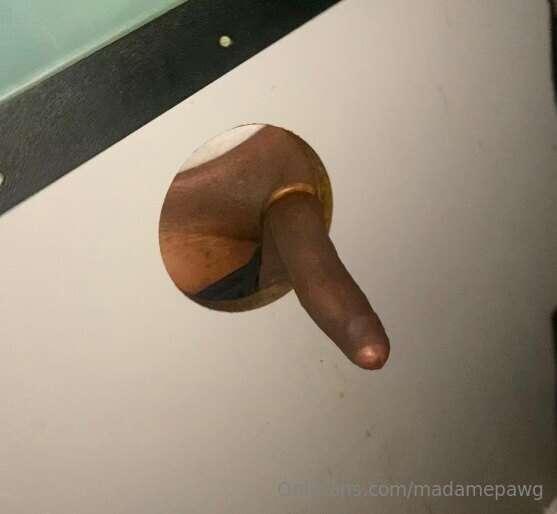 madamepawg image #23