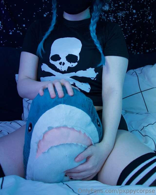 do you like my shark? 🤍