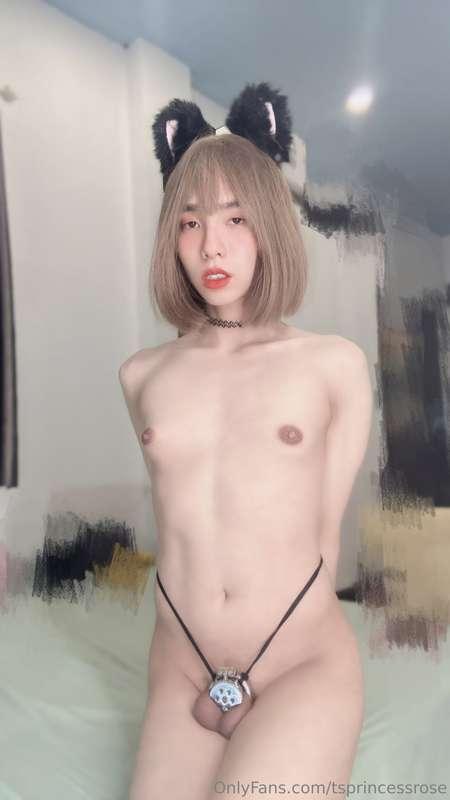 tsprincessrose image #0