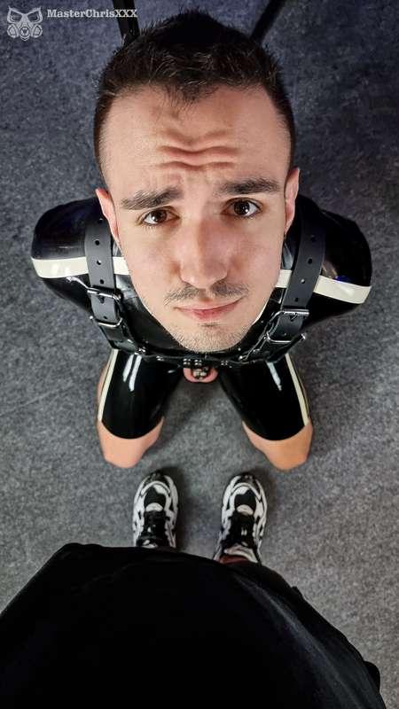 Look at those eyes! I said it's better for the slave to knee..