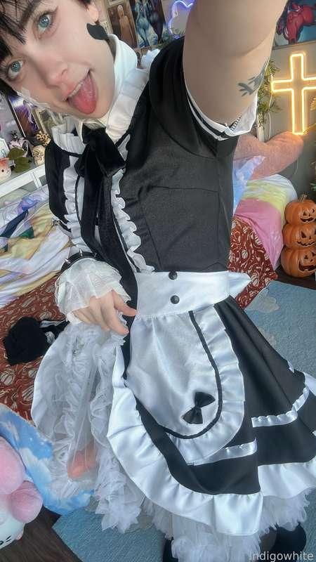 indigowhite image #46