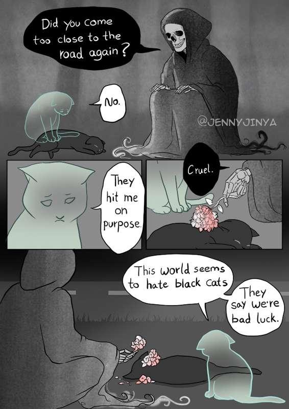 Death meets black cat