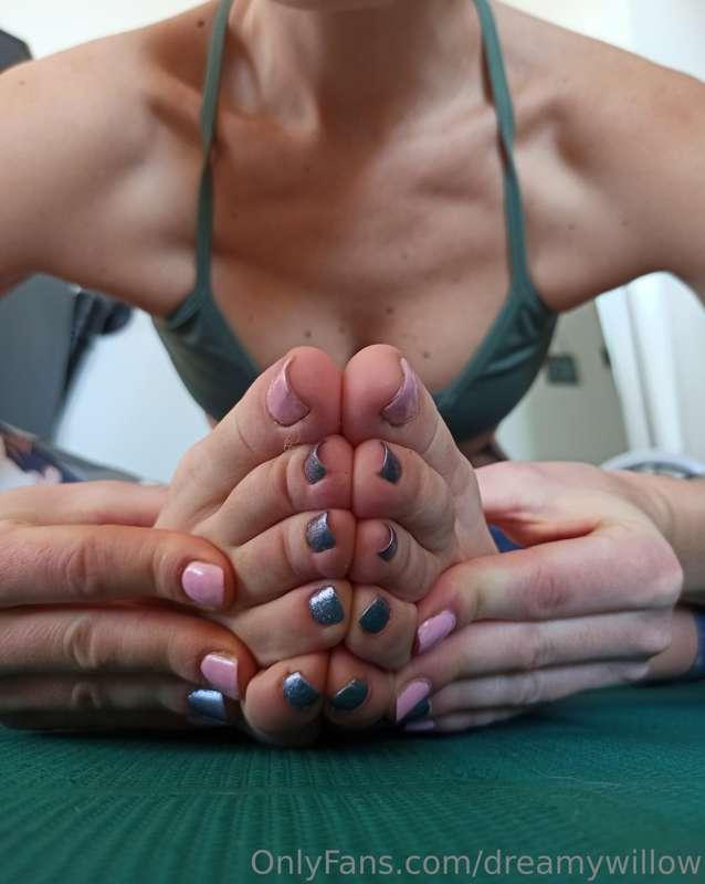 dreamywillow image #1