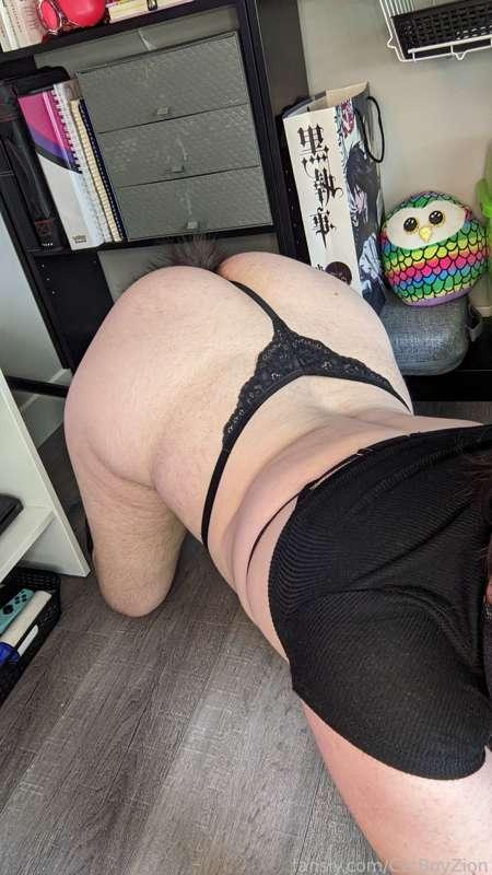 catboyzion image #5