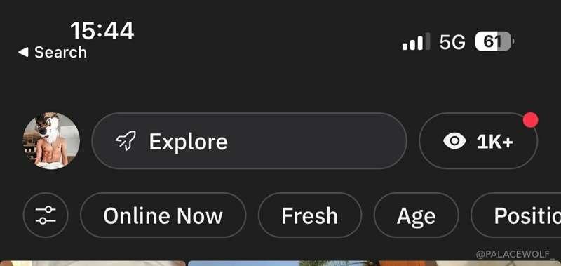 palacewolf main image