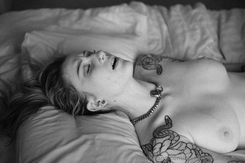 laceandleashesallin image #23