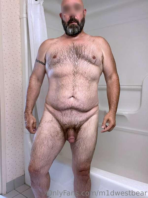 m1dwestbear image #7