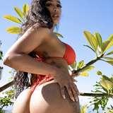 wettawetta