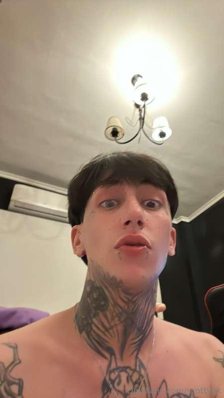 scottyqk image #4