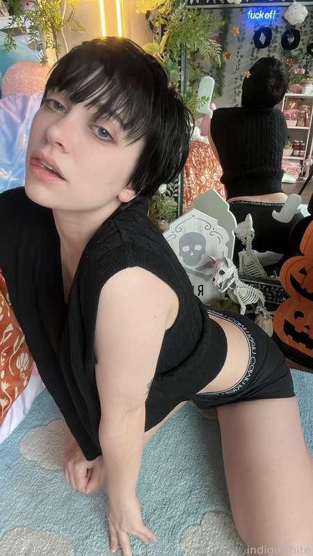 indigowhite image #124