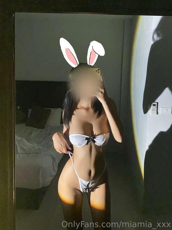 🐰🥕