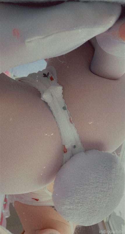 indigowhite image #4
