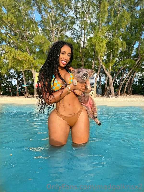 swimmin with tha piggiessss