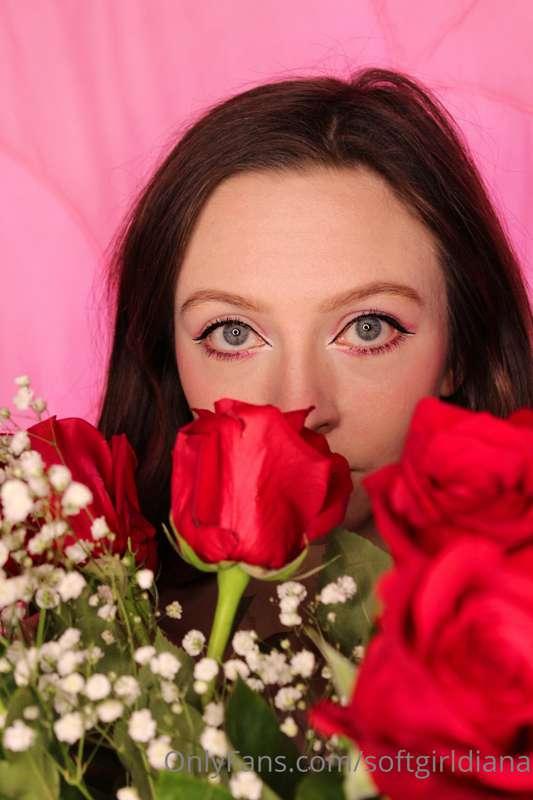 🌹👀🌹