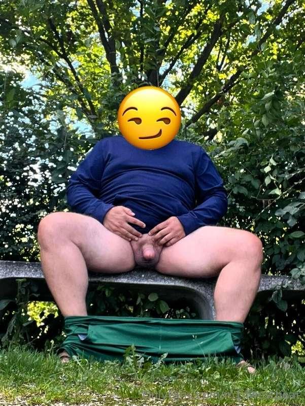m1dwestbear image #0