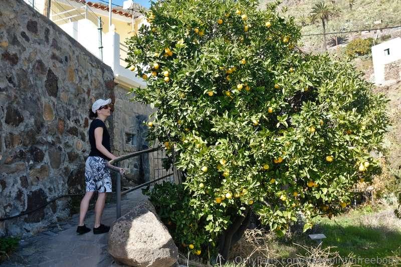 Our first trek on the La Gomera island starts in the Imada v..