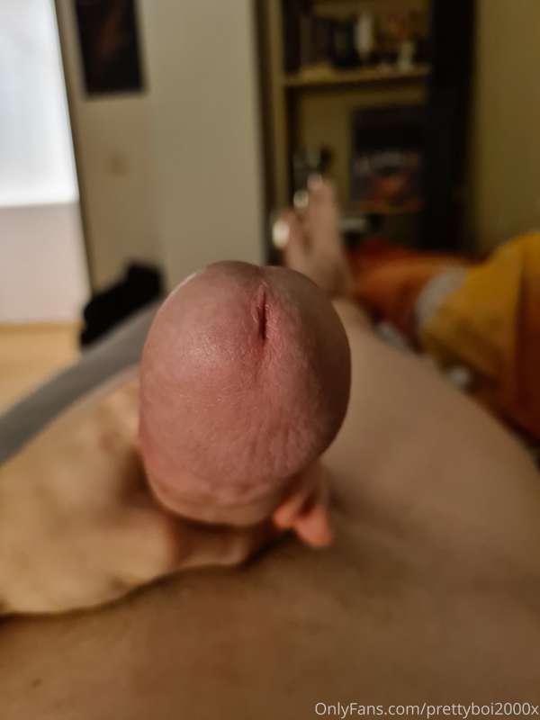 prettyboi2000x image #5