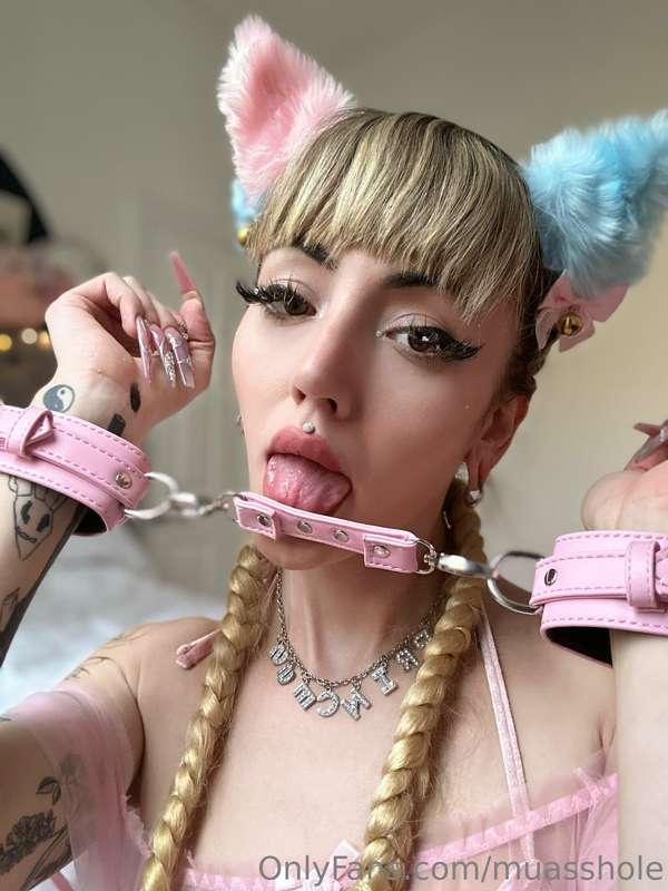 Am I a good kitty ? 💕