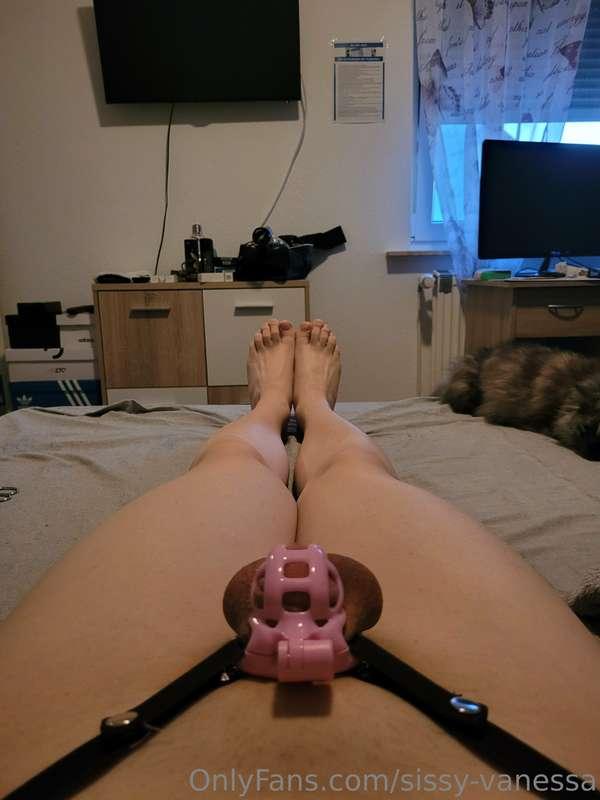 Freshly shaven and inside my new pink micro cage 🙈