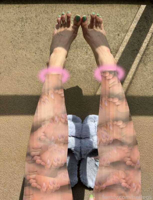 herlegs image #1