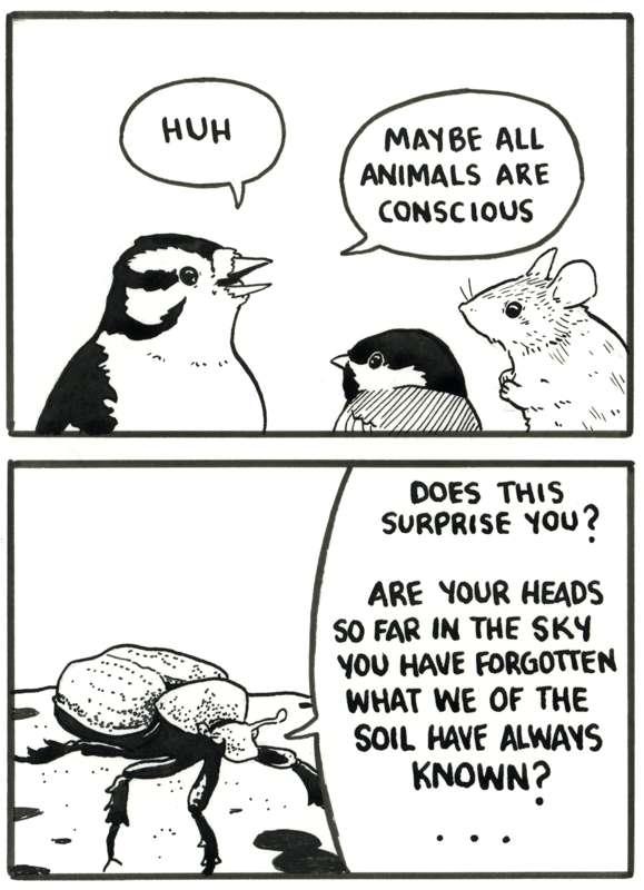 [19/31]