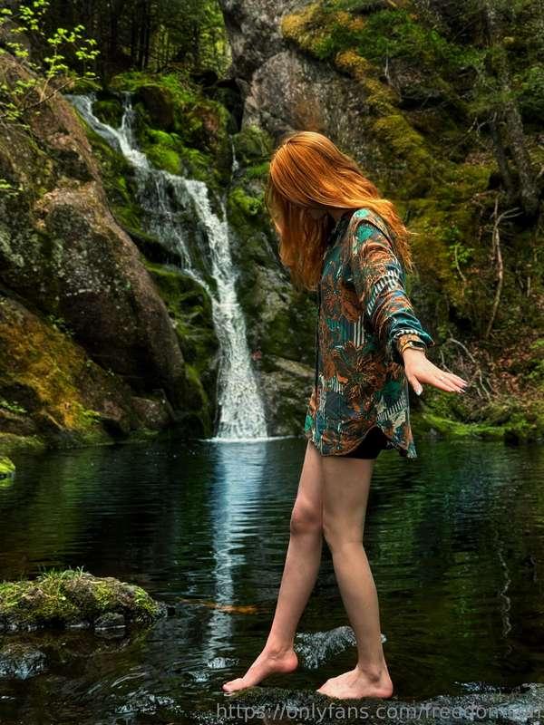 I so love hiking, wandering the hiking trails with my dog an..